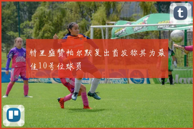 特里盛赞帕尔默复出首发称其为最佳10号位球员