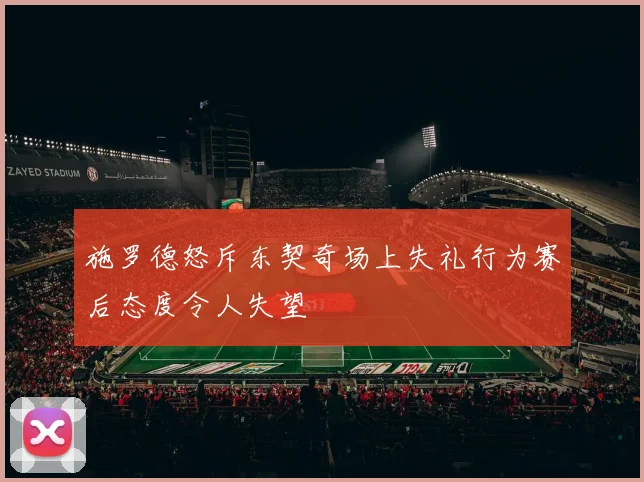 施罗德怒斥东契奇场上失礼行为赛后态度令人失望