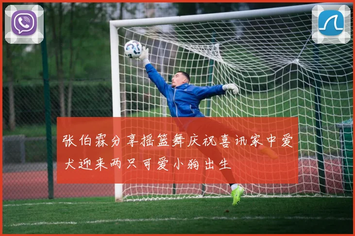 张伯霖分享摇篮舞庆祝喜讯家中爱犬迎来两只可爱小狗出生