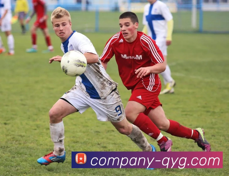 奇异果体育平台生态图