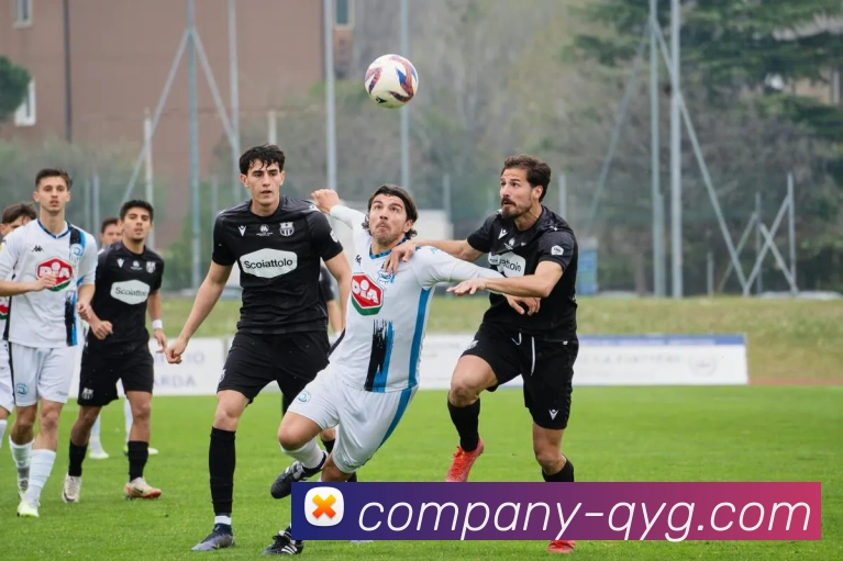 奇异果体育全站App